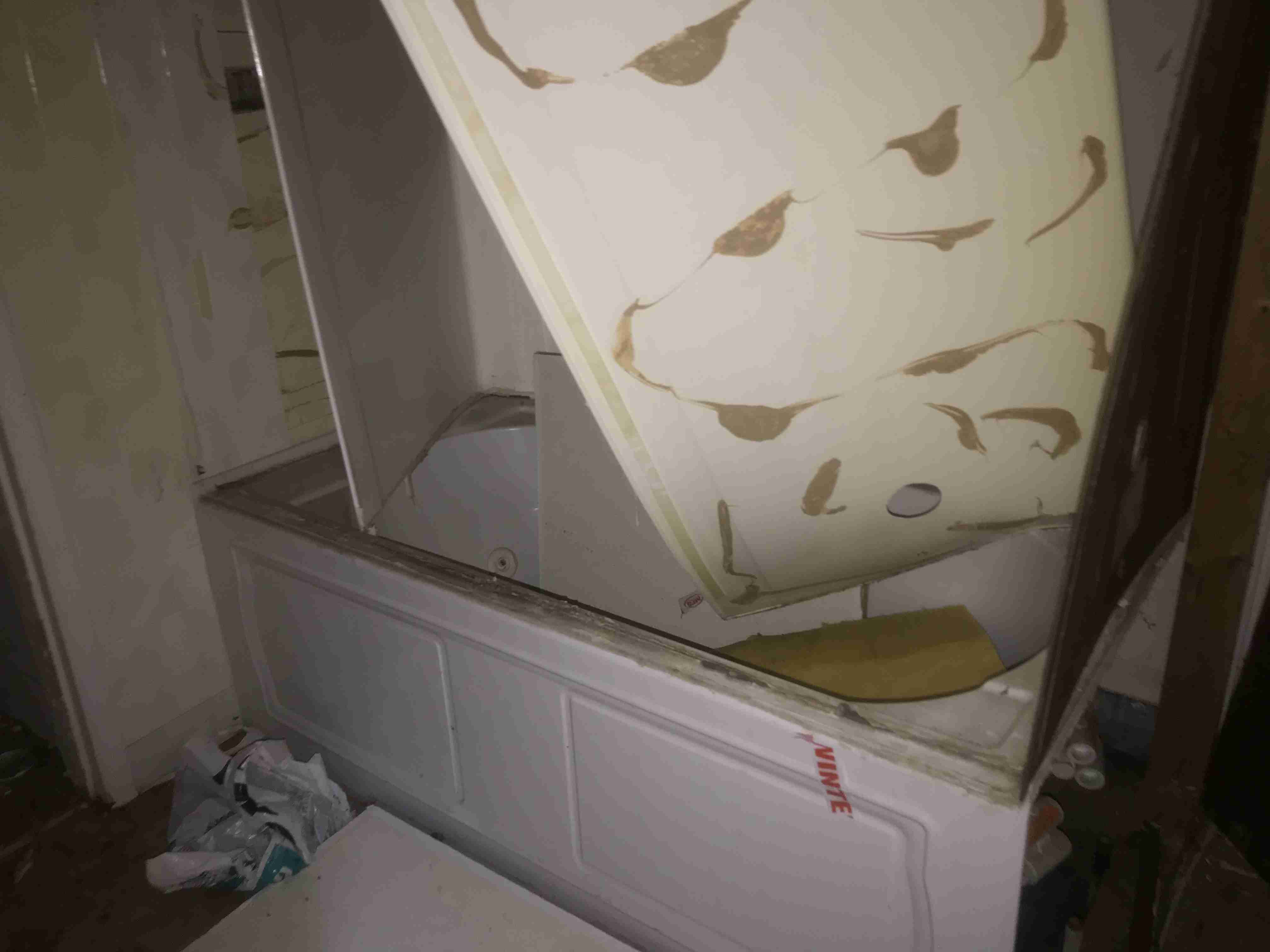 Photo Nov 04, 5 32 05 PM.jpg